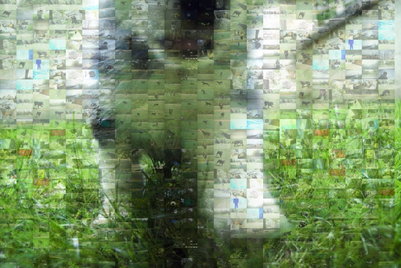 Illustration for article titled Shooting Challenge: Mosaic